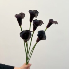 含阳 仿真花PU月牙马蹄莲手感假花 设计花艺插花装饰单支配材