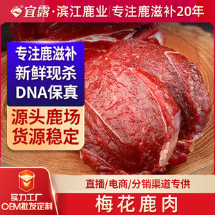 ��¶÷��¹�����r�F��¹��Ƭ¹����¹��¹Ѫ��¹���������r¹��