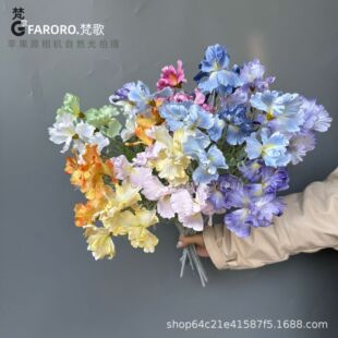 ֲ�q�����Sβ�߼����ͮ��L�Ҿ������bٻ����Q���l
