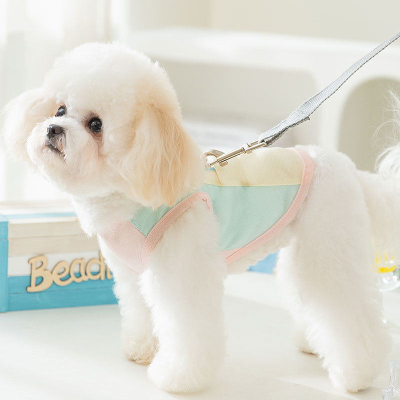 Primavera y verano perro macaron mariposa pequeña malla protector solar chaleco de tracción fresco gato ropa de perro mascota de dos patas