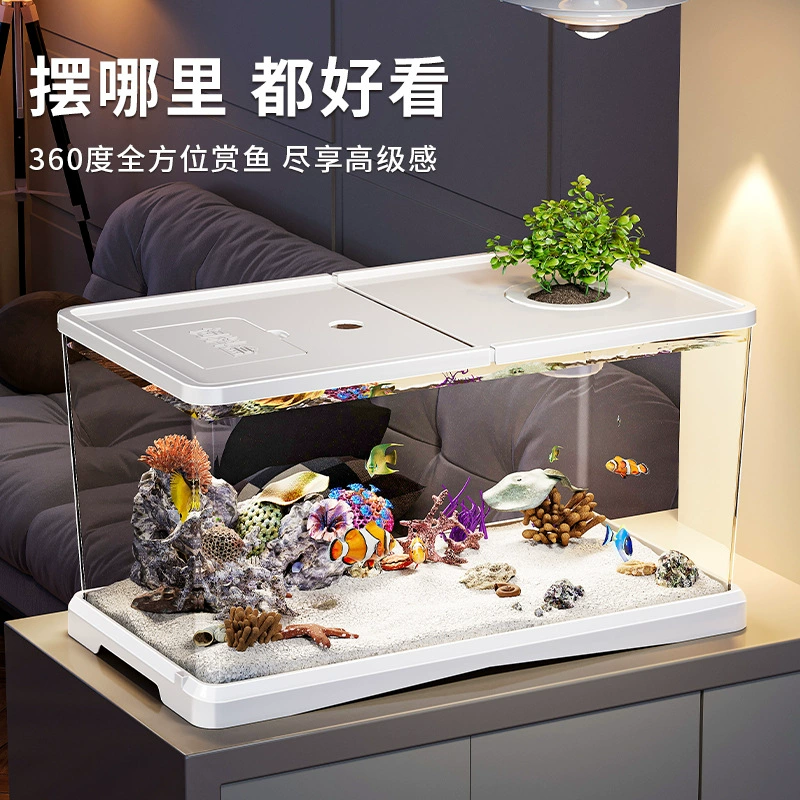 Аквариум для гостиной с крышкой, прозрачный резервуар для разведения золотых рыбок, небольшой ландшафтный настольный резервуар, новый высокопрозрачный аквариум, домашняя экология