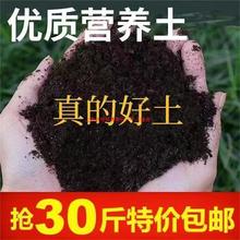 通用营养土养花种菜有机肥料万能型土壤君子兰多肉兰花专用土批发