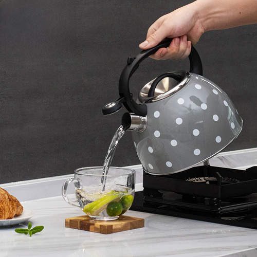 Cross-border gray dot whistling kettle, whistling water kettle, coffee sound water kettle 3L