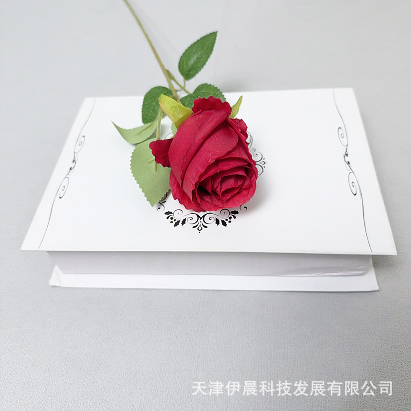 불가리아 가지치기 - 빨간색