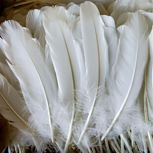 �Z�C��15-20cm�ZëȾɫDIY��ë�^�ˇƷ���Sֱ���赸�o��
