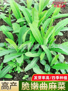 ����˷N�����{�������Ұ���߲˷N���~�˿���˿�˷N���ļ���