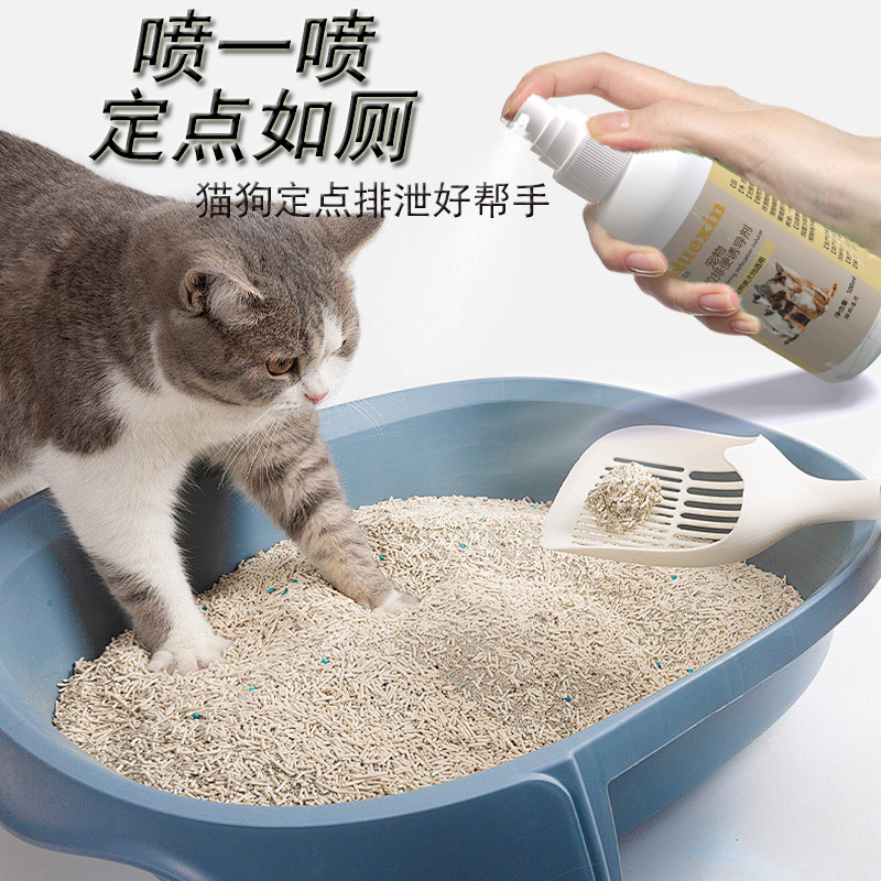 犬の大きさはトイレに行って小便をします。|undefined