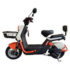 メーカーはよく売れている電動自転車の大出力の電気自動車を卸売りします。