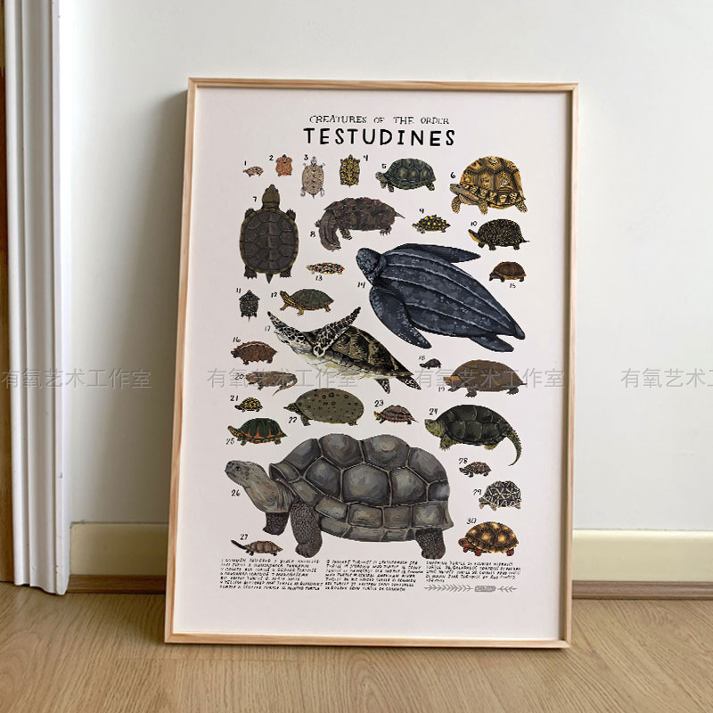 Animal World Series Science Popularization Artwork: American Kelzuki Whale, Goose, Rabbit, Squirrel Poster Painting on Canvas Animal World Series Science Popularization Artwork: American Kelzuki Whale, Goose, Rabbit, Squirrel Poster Painting on Canvas