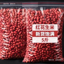 2025���»����׼tƤ���r������؛��Ş��t����10��