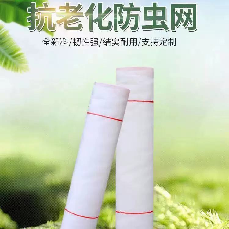 尼龙网农业果树防蚊网防虫网聚乙烯拦鸟网养殖农用加厚防蝇网