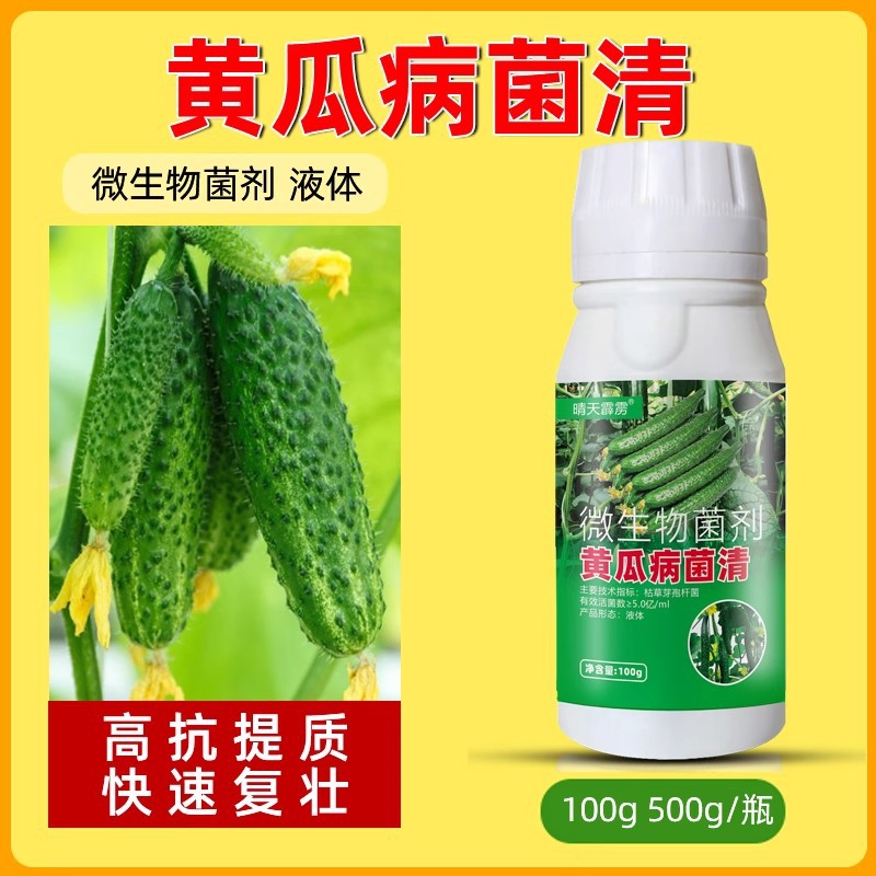 黄瓜病菌清黄瓜黄叶病黄点病角斑病白粉褐斑病灰霉病炭疽病霜霉病