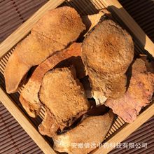 �����h������ș�ķ��|������Ұ����Ѭ���������Ƭ����r�񃞻�