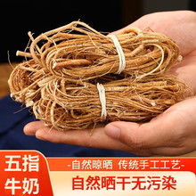 正宗云南野生五指毛桃根500g中药材土茯苓煲汤料包新鲜干五爪龙