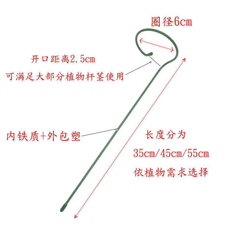 微信图片_202108061011234