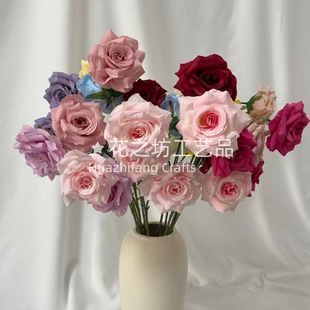 3�^�ʯõ�ǳ�õ�����F����c��Y�üҾӾƵ��b廨 ���Q���l