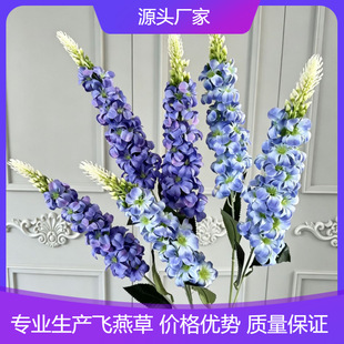 3����~�ݷ��滨�w����L�������_�m�ٻ��Ҿӻ�c�b�ˇ�廨