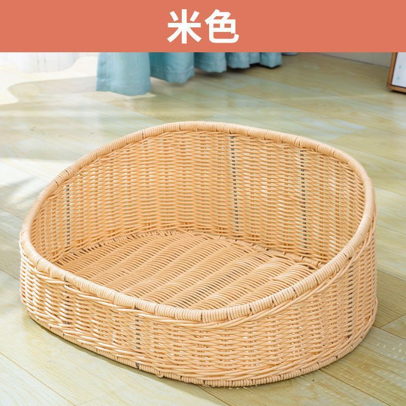 타원형 황백색 공 전달