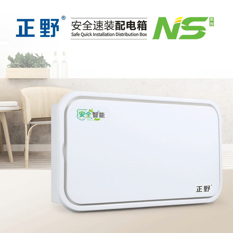 【正野】NS半塑/全塑全白E-210家用弱电箱漏电保护暗装布线电箱
