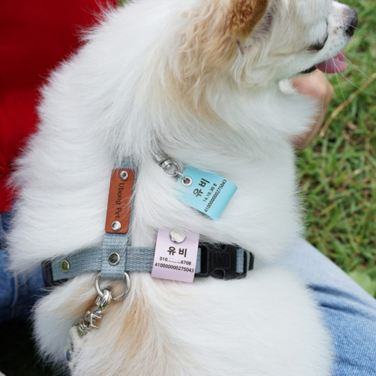 Spot Korean multi-color pet tag PU leather dog identity tag blank cat anti-lost collar hanging ornaments