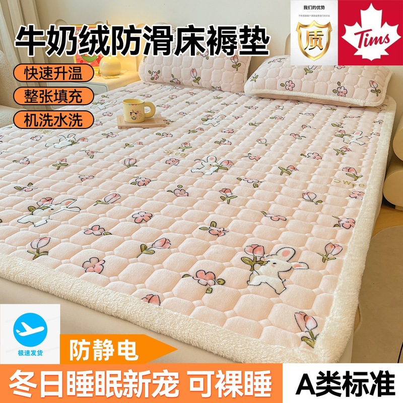 Class a Milk Velvet Mattress Thickeneded and Warm Winter Quilted Mattress Student Dormitory Fleece-Lined Anti-Slip Soft Cushion Export
