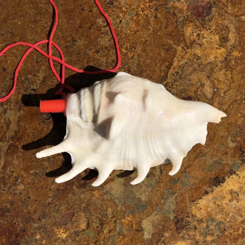 Rose red seven-corner snail whistle 12-14