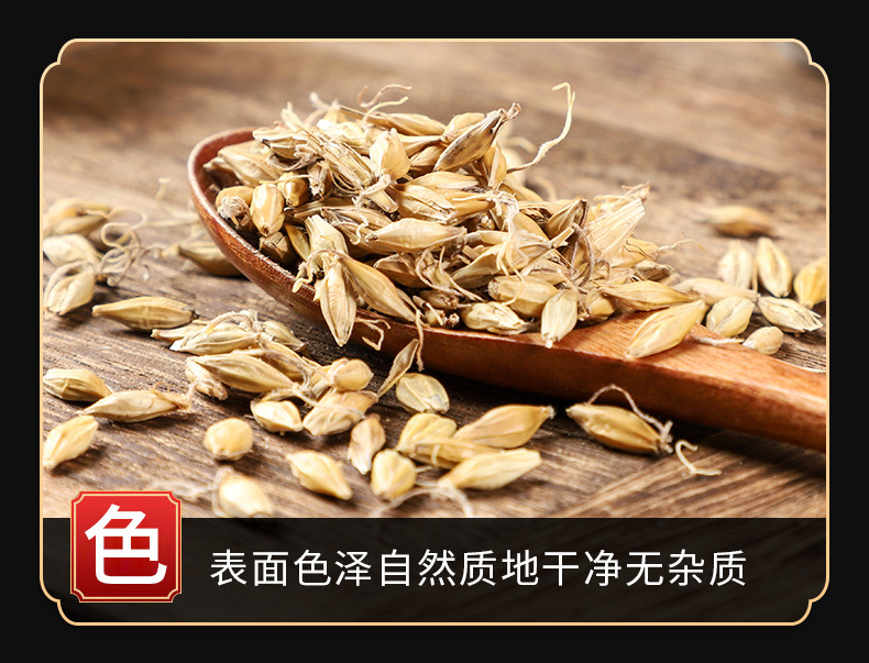 Malt (Hordeum vulgare) — Dried Food-Herb Grain for Tea, Soup & Congee key features