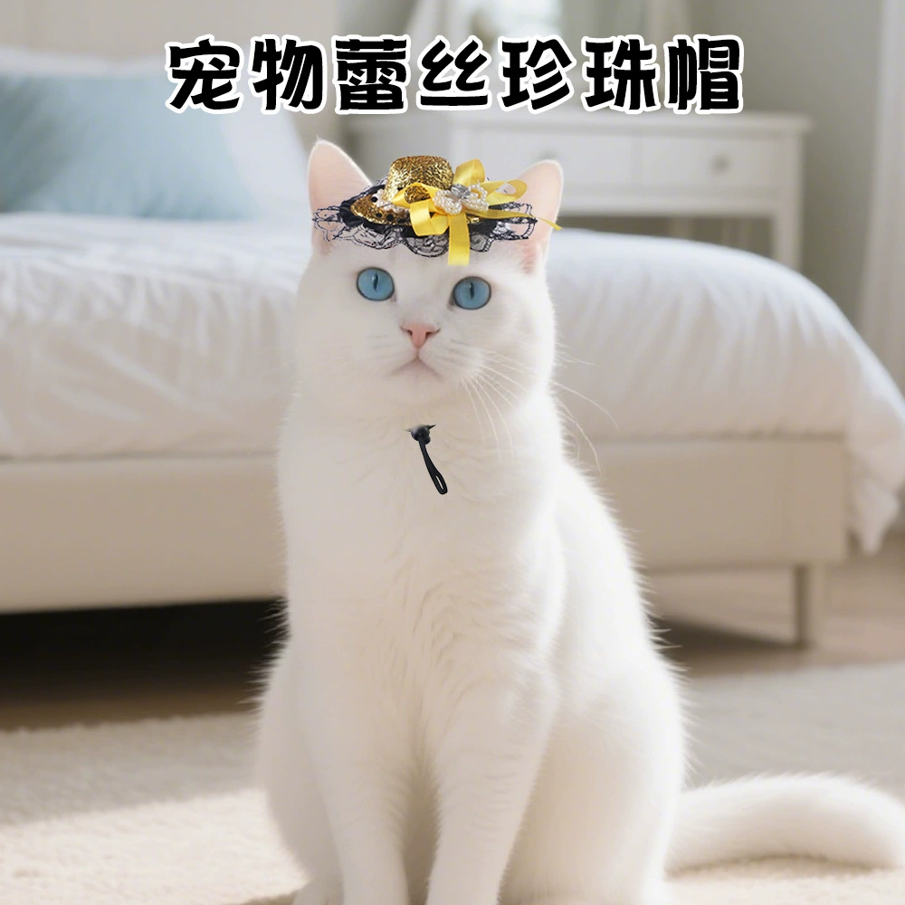 Новая шляпа ведьмы на Хэллоуин от Amazon, декоративная шляпа для кошек и маленьких собак, сетчатая декоративная шляпа с блестками и эластичной лентой