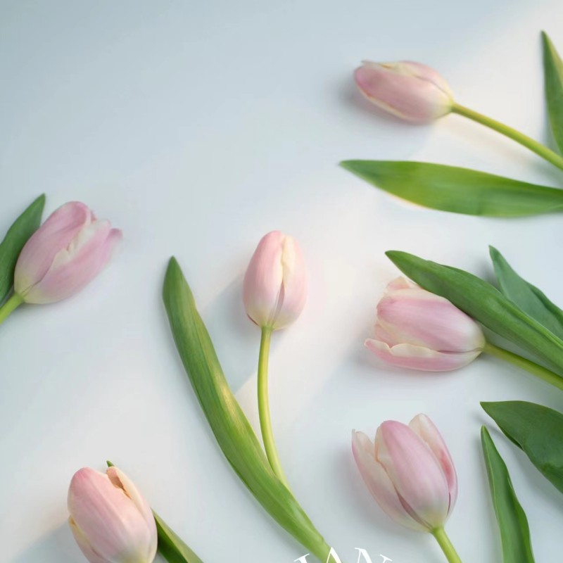 微信图片_20230207113139