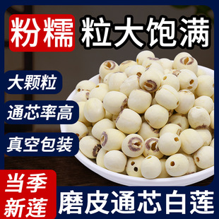 �}�������̶ĥƤɏ�Ӹ�؛ȥо500g��ɏͨо����ɏ�����oѬ����؛
