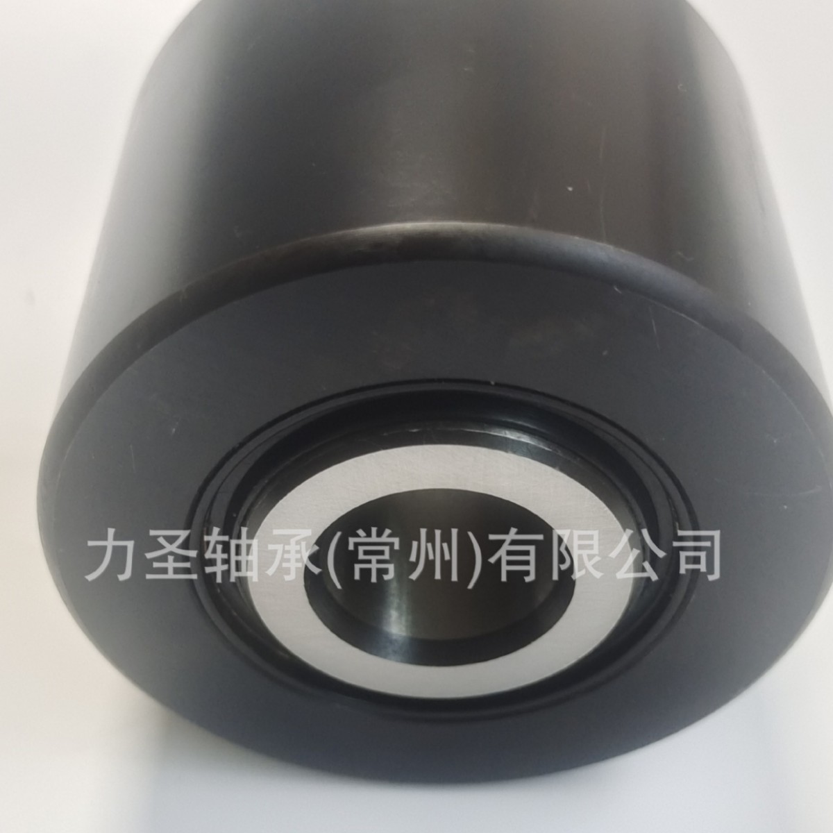 推荐 ZR-3-W   ZR-3-W  ZR-3-W 连续油管链条轴承  厂家现货 价格
