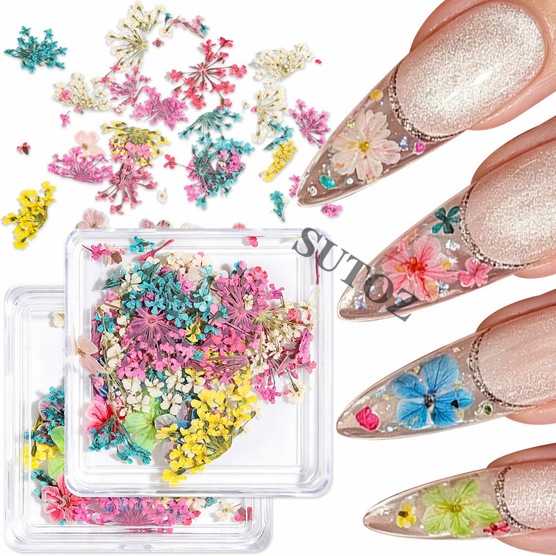 Nail Art Dried Flower Mix with Baby's Breath and Hydrangea, Eternal Flowers, Japanese Gentle Style Natural Pressed Flowers, DIY Uv Gel Nails Nail Art Dried Flower Mix with Baby's Breath and Hydrangea, Eternal Flowers, Japanese Gentle Style Natural Pressed Flowers, DIY Uv Gel Nails
