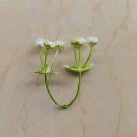 仿真花水草配件两叉满天星 婚庆情人节手捧花搭配满天星配件批发