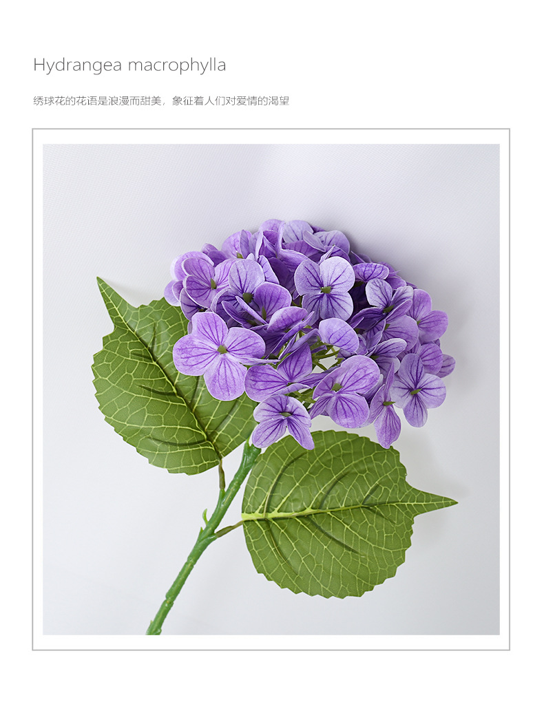 3绣球---中文_02