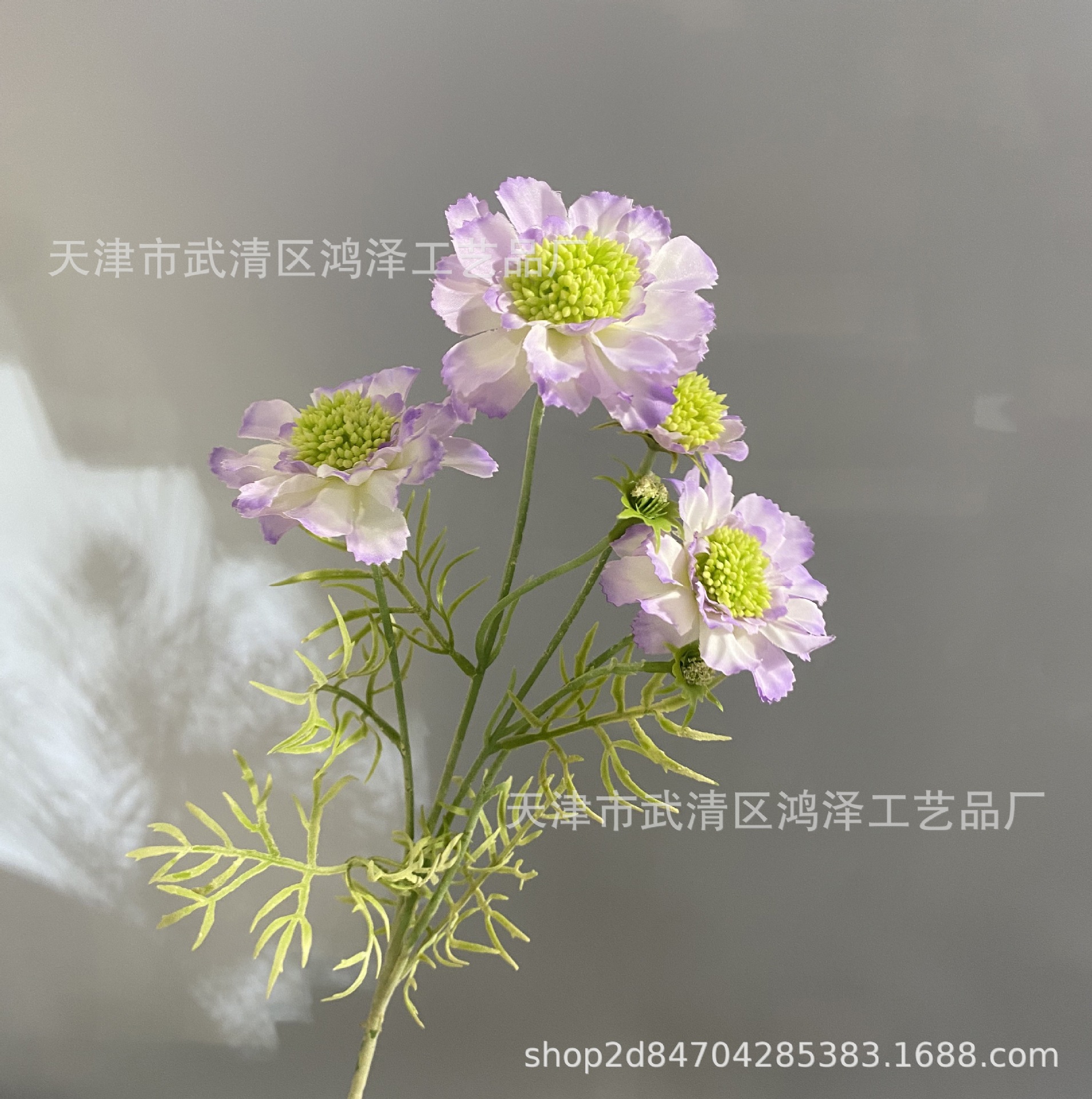 연한 보라색
