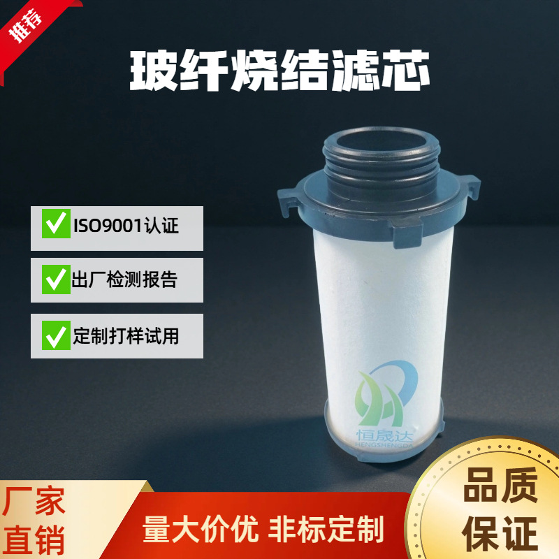 天然气滤芯CNG LNG LPG燃气车玻纤烧结烟气分析仪净化器