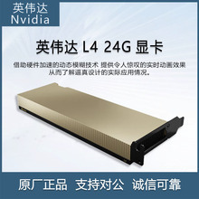 Ӣ���_��NVIDIA��Tesla L4 24GB Ӗ������GPU��ȾӋ������@��