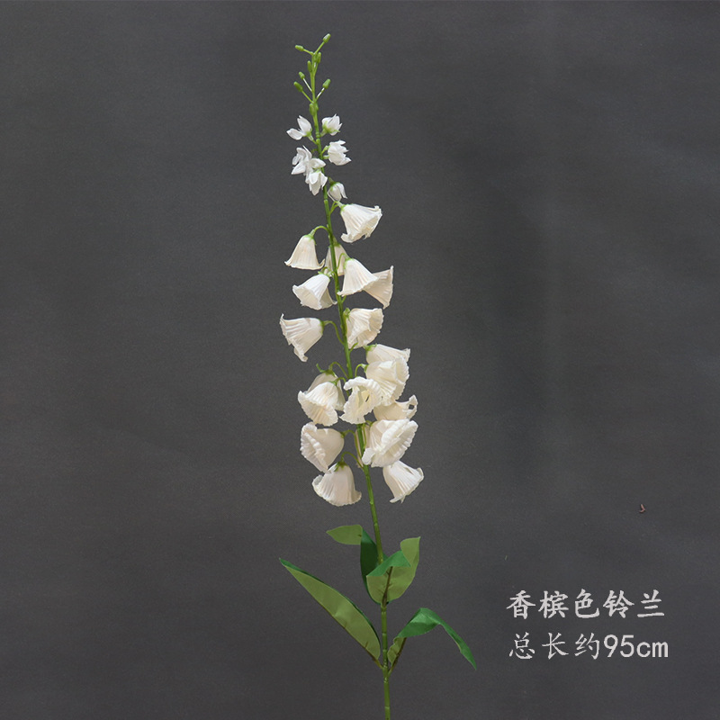 Lirio del valle Champagne