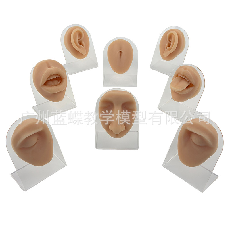 ����轺�����ϰģ�����ִ��׶�������۾�ü����ͷ�촽�궤ѧϰ