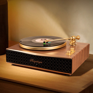 Vinyl Record Audio All-In-One Vinyl Record Player Gramophone with Bluetooth Function Metal Cartridge Metal Cartridge