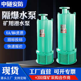 BQS矿用隔爆型排沙泵防爆380v潜水泵高扬程大流量深井污水潜水泵