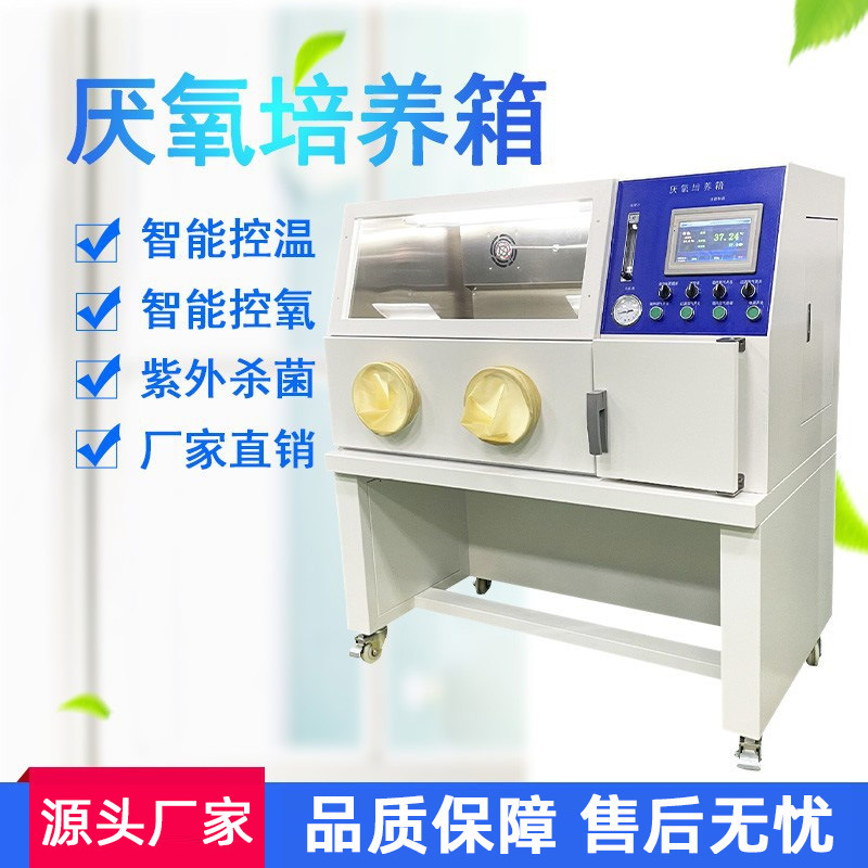 Anaerobic incubator laboratory anaerobic glove box anaerobic anaerobic anaerobic bacteria incubator scientific research anaerobic workstation Anaerobic incubator laboratory anaerobic glove box anaerobic anaerobic anaerobic bacteria incubator scientific research anaerobic workstation