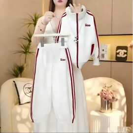 儿童卫衣套装男童女童卫衣卫裤两件套拉链外套运动裤韩系童装时尚