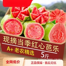 ����ܛŴ�t�İŘ�5�����rˮ����ʯ�����ܛŴ��֬�t�͘�������]3