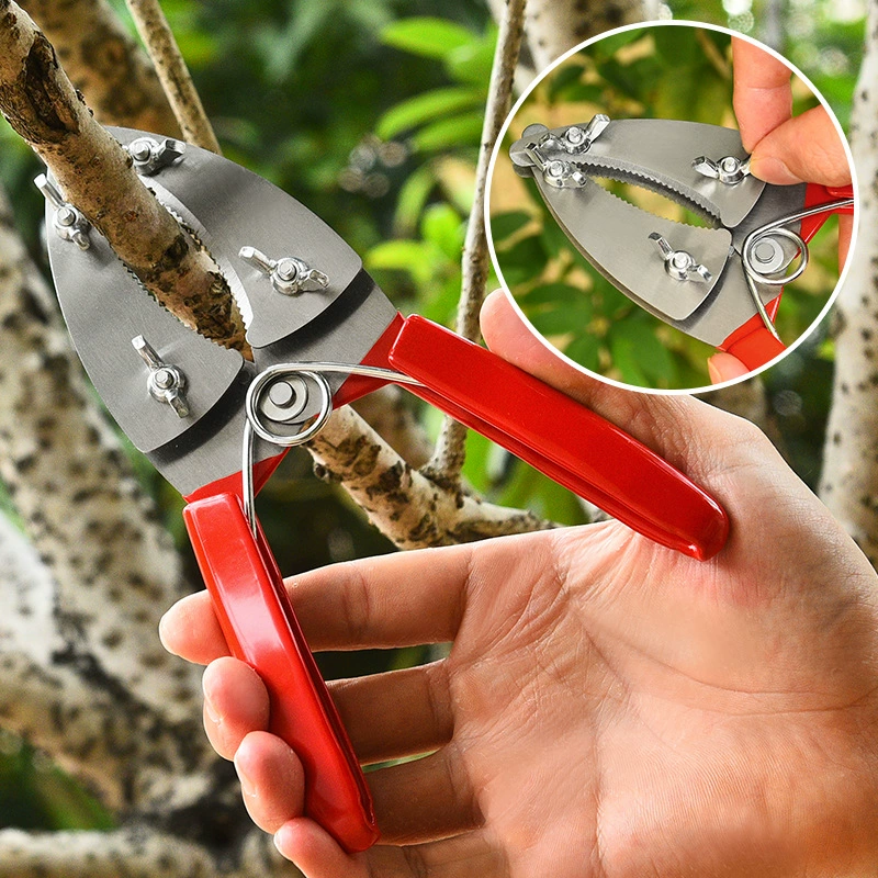 Производитель красных кольцевых секаторов, двухлезвийных кольцевых секаторов, двухслойных кольцевых секаторов, секаторов для обрезки плодовых деревьев, ножей для обрезки кольцевых ранений, кольцевых секаторов оптом