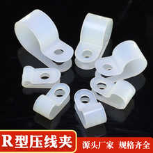 R�;��A�^����U�������̶��A늾������侀�̶��o�^���̶��A