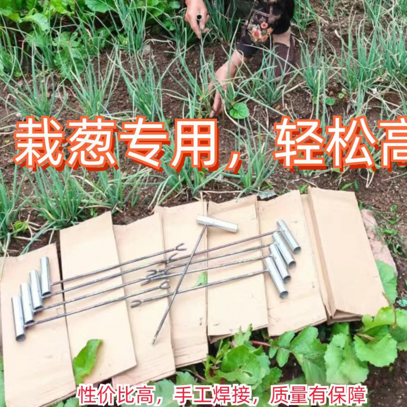 红薯栽苗地瓜插苗新款蔬菜种植工具叉子平栽插秧葱苗苗地神器瓜苗