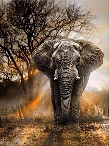Elephant Diamond Painting