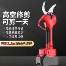 Sl늄Ӽʳʽ֦֦@֌ü֦