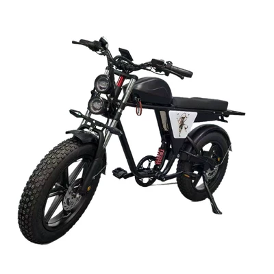 Vehicle Off-Road Electric Bicycle, Elektrikli motosikletlər